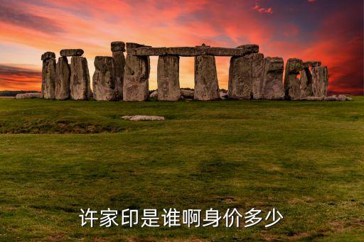 许家印是谁啊身价多少
