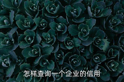 怎样查询一个企业的信用