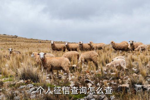 个人征信查询怎么查