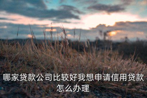 来安信用贷公司怎么样啊，信用贷款公司哪个比较好
