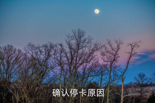 确认停卡原因