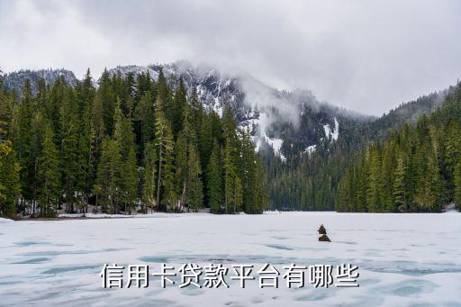 信用贷几大平台有哪些公司，信用贷款平台有哪些