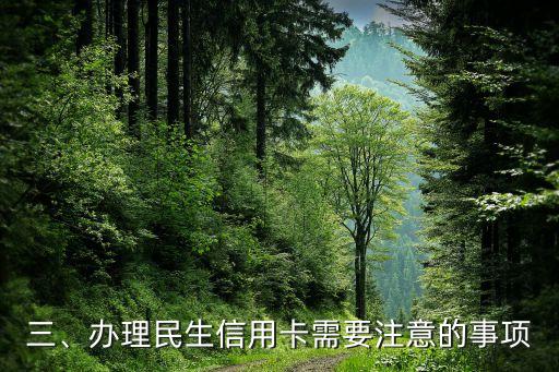 民生信用卡办理方案，民生银行信用卡办理攻略