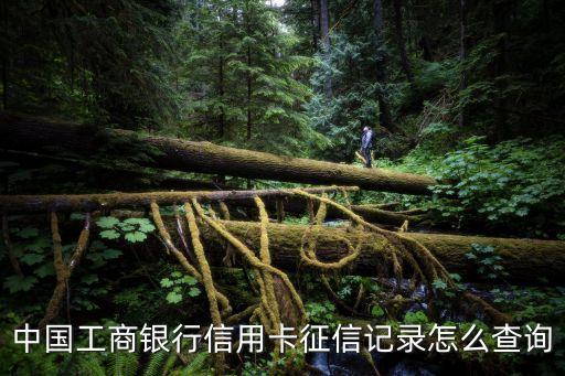 中国工商银行信用卡征信记录怎么查询