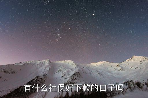 有什么社保好下款的口子吗