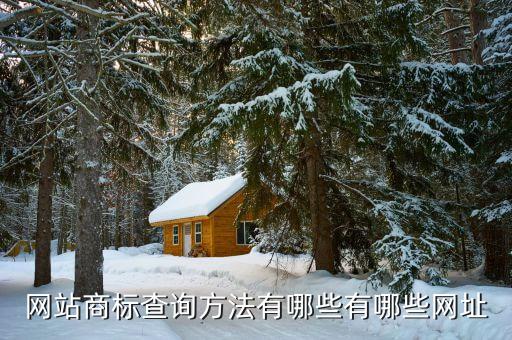 网站商标查询方法有哪些有哪些网址