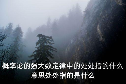 概率论的强大数定律中的处处指的什么意思处处指的是什么