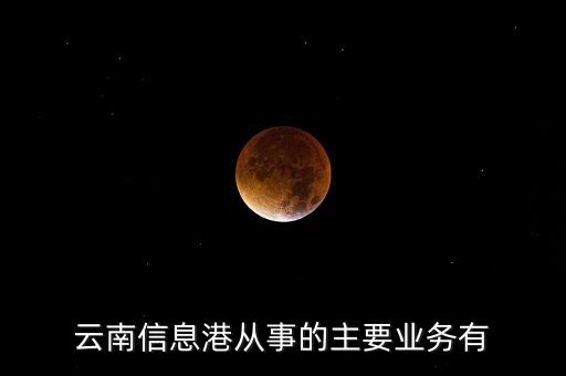 云南信息港从事的主要业务有