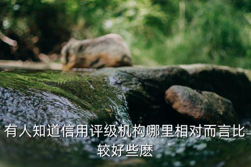 有人知道信用评级机构哪里相对而言比较好些麽