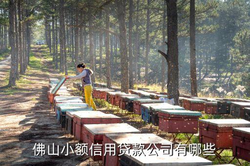 佛山小额信用贷款公司有哪些