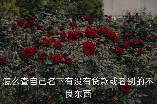 怎么查自己名下有没有贷款或者别的不良东西