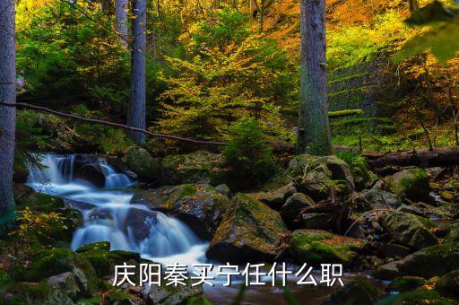庆阳秦买宁任什么职