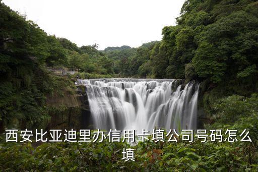 网上申请信用卡公司怎么填，申请信用卡企业主管部门怎么填