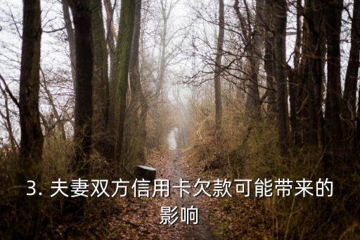 夫妻双方信用卡欠款，夫妻因信用卡欠款面临经济困难