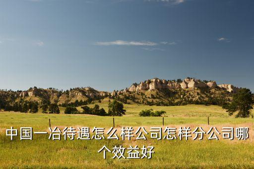 中国一冶待遇怎么样公司怎样分公司哪个效益好