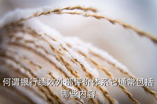 何谓银行绩效外部评价体系它通常包括哪些内容