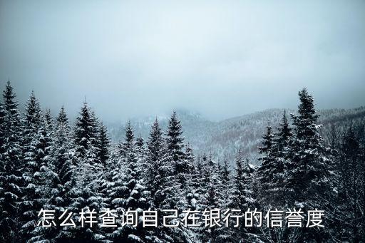 如何查个人信用度，怎么查询个人信誉度