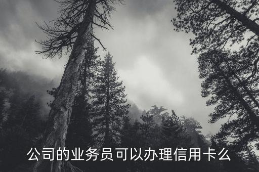 公司业务员怎么办理信用卡，本人在一家公司做业务员的现在想办信用卡但是以前一直没办过