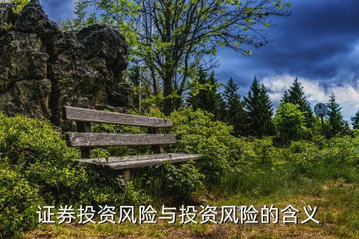 证券投资风险与投资风险的含义