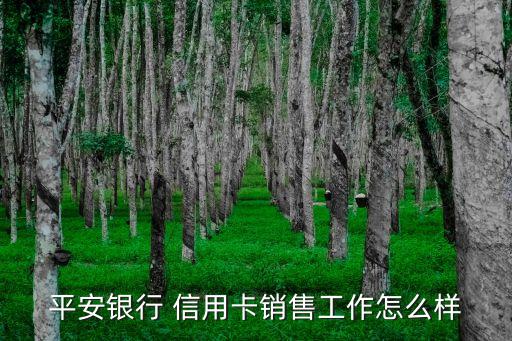 平安银行 信用卡销售工作怎么样