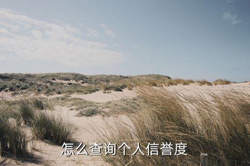 怎么查询个人信誉度