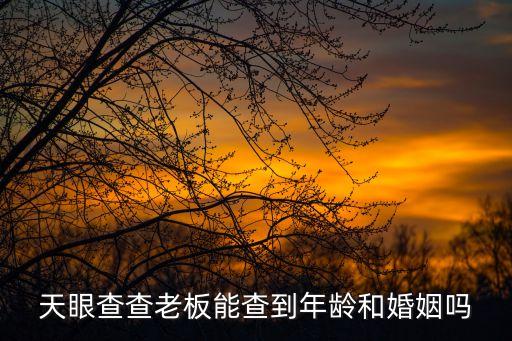 天眼查查老板能查到年龄和婚姻吗