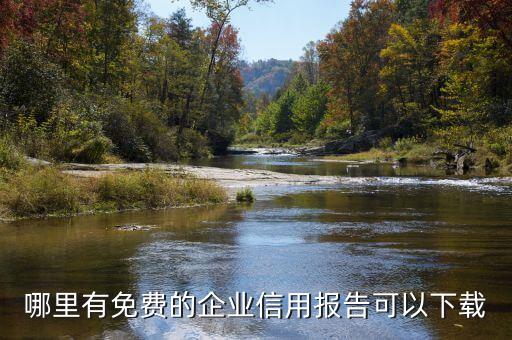 哪里有免费的企业信用报告可以下载