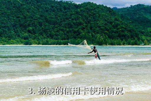 杨凌信用卡申请，杨凌的信用卡申请怎么样？
