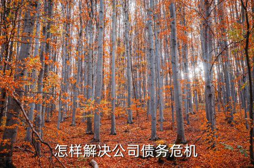 怎样解决公司债务危机