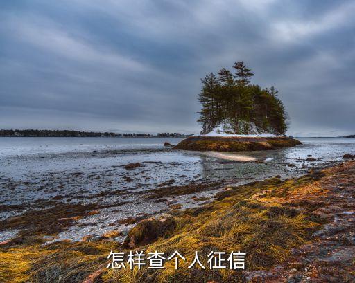 怎样查个人征信