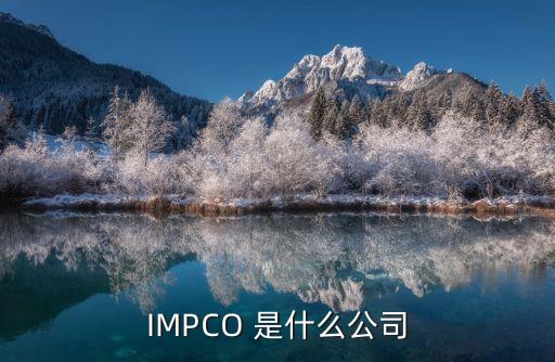 IMPCO 是什么公司