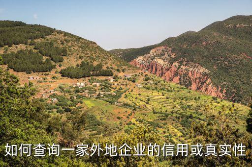 如何查询一家外地企业的信用或真实性