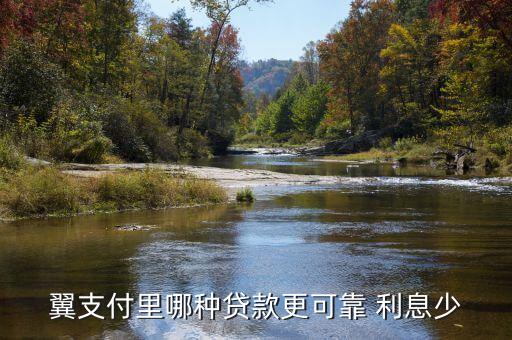 贷款平台排行榜前十名翼只付，翼支付里哪种贷款更可靠 利息少
