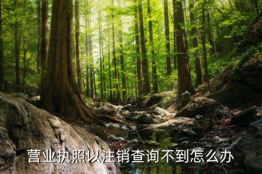 营业执照以注销查询不到怎么办