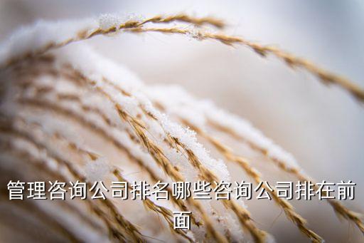 管理咨询公司排名哪些咨询公司排在前面