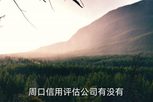 周口信用评估公司有没有
