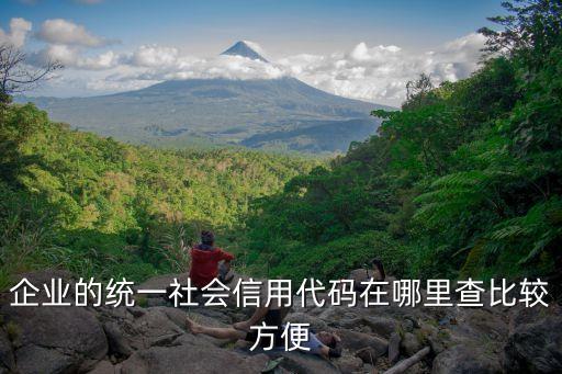 怎么查公司信用代码是多少，怎么查其他企业的统一社会信用代码