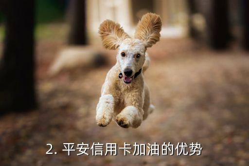 平安信用卡加油，平安信用卡优惠加油，助力省钱出行