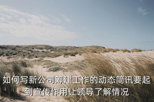 如何写新公司筹建工作的动态简讯要起到宣传作用让领导了解情况