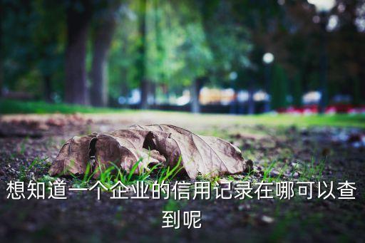 哪里查建筑公司信用分，想知道一个企业的信用记录在哪可以查到呢
