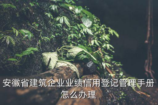 安徽省建筑企业业绩信用登记管理手册怎么办理