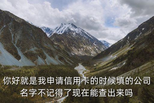 信用卡公司信息怎么查不到，你好就是我申请信用卡的时候填的公司名字不记得了现在能查出来吗