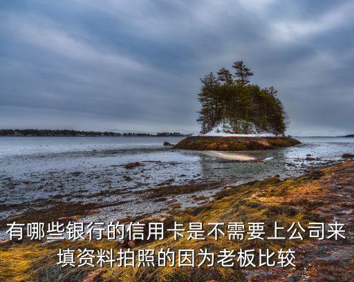哪些信用卡不会派人去公司，有哪些银行的信用卡是不需要上公司来填资料拍照的因为老板比较