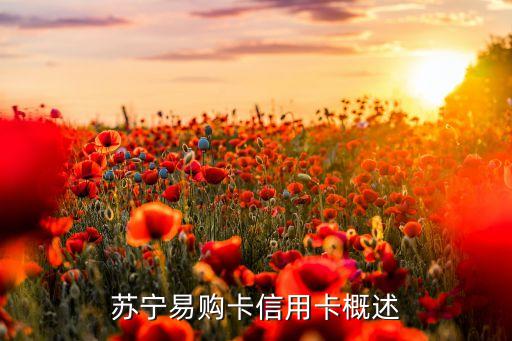 苏宁易购卡信用卡概述