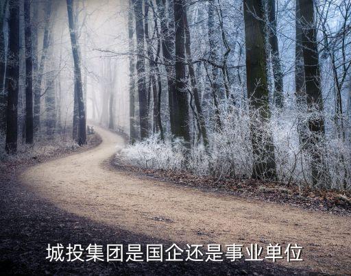 城投评级标准，阜新城投是不是2A