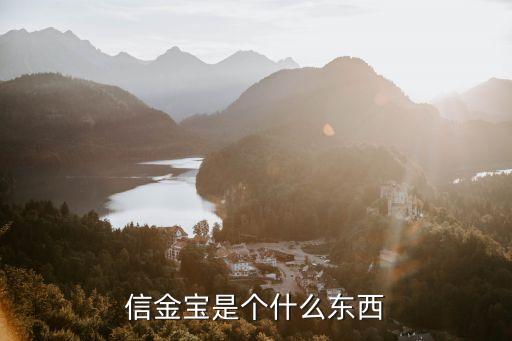 信金宝是个什么东西