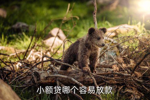 小额贷款平台哪个好下款，小额贷哪个容易放款