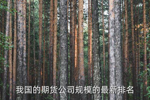中辉期货公司排名，我国的期货公司规模的最新排名