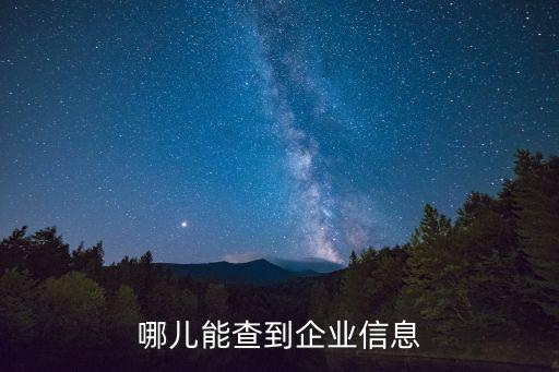 哪儿能查到企业信息