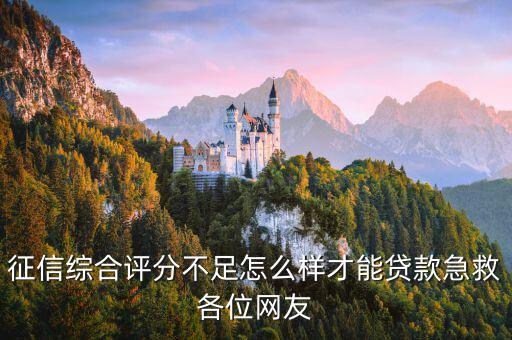 征信综合评分不足怎么样才能贷款急救各位网友